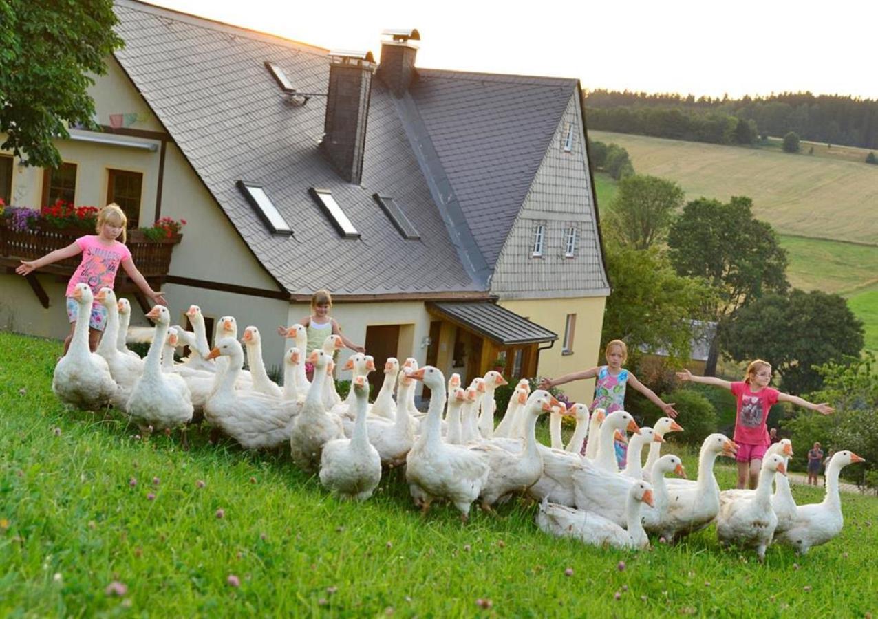 Ferienhof Kuerschner Drebach ภายนอก รูปภาพ