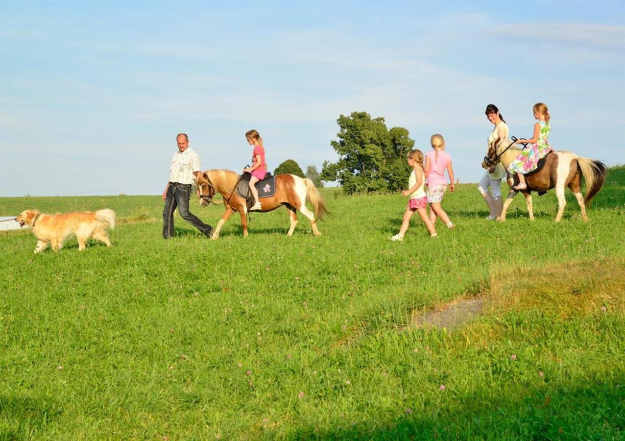 Ferienhof Kuerschner Drebach ภายนอก รูปภาพ